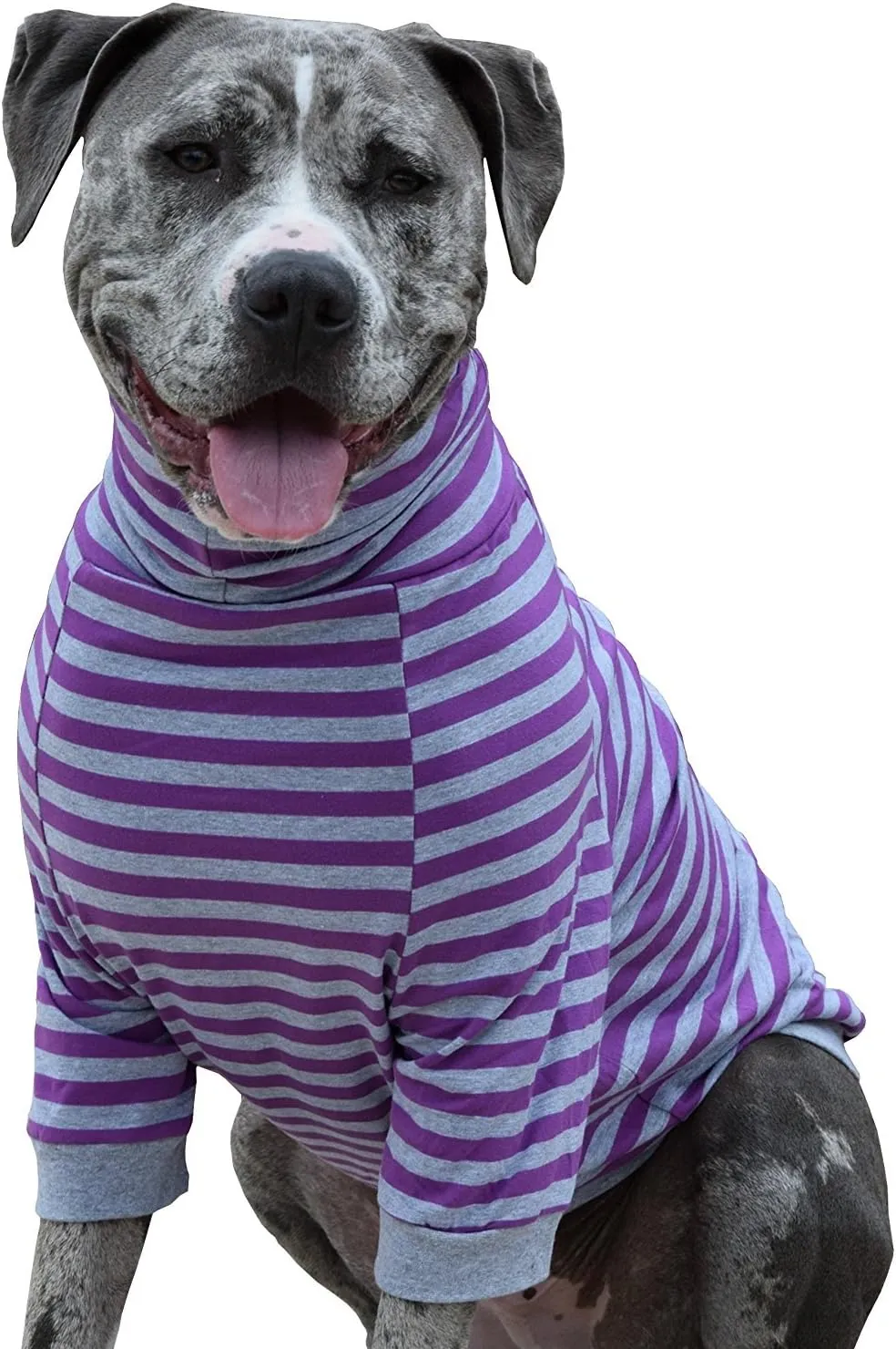 Tooth & Honey Big Dog/Stripe Shirt/Pullover/Full Belly Coverage/for Big Dogs/Pitbull Shirt/Purple and Grey (Large)